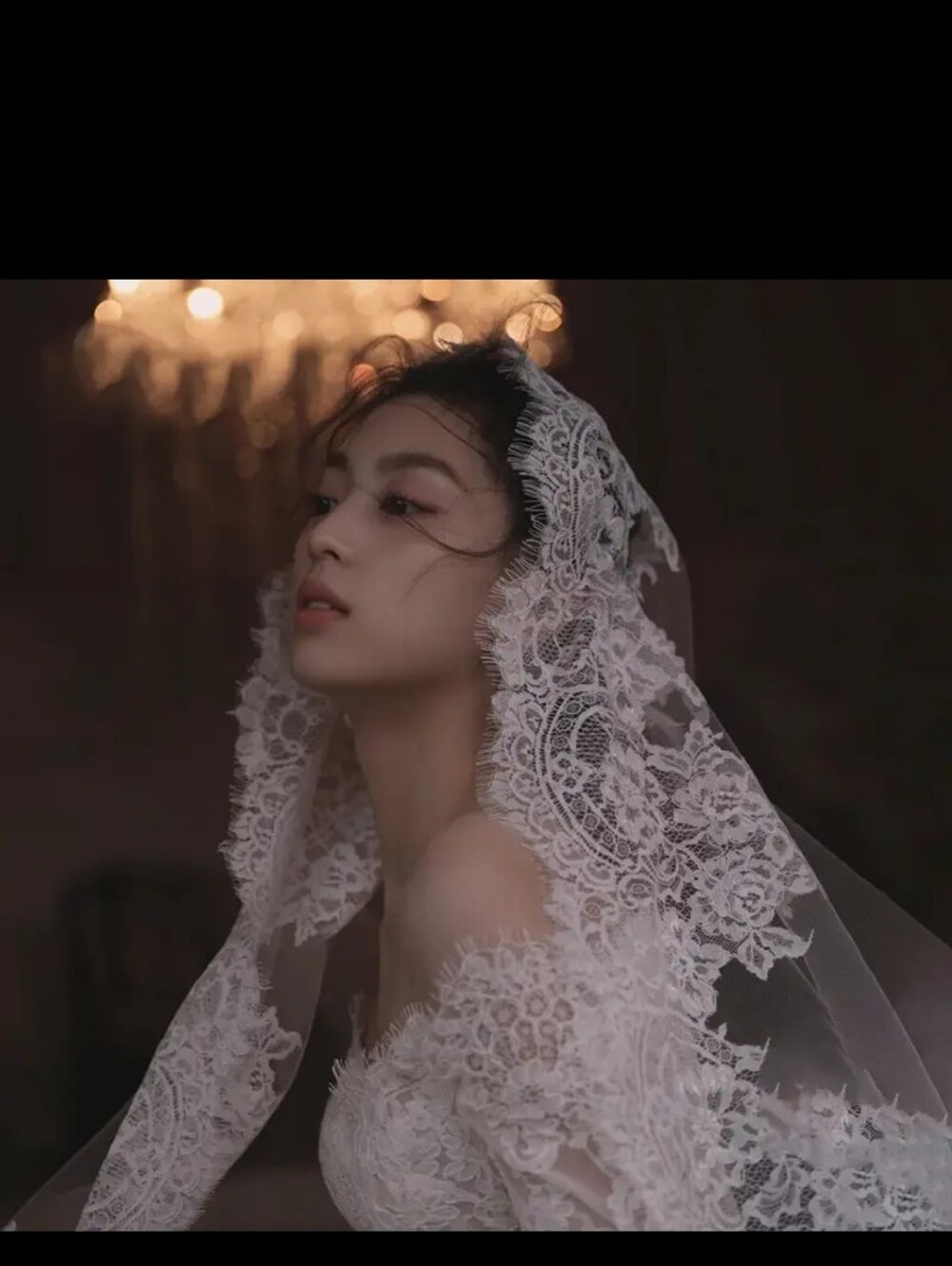 Elegant Creamy White Lace Bridal Veil Mantilla Style